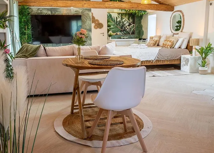 Loft & Scandinave Romantique, King Size, Tv 65 Apartment *